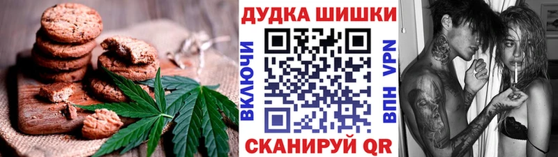 mega вход  Новодвинск  Canna-Cookies конопля 