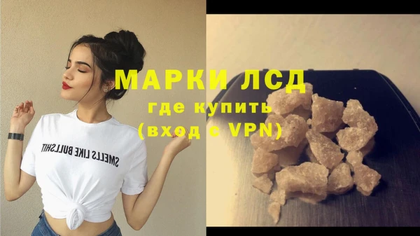 гидра Михайловка