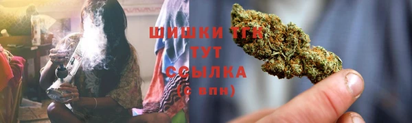 гидра Михайловка