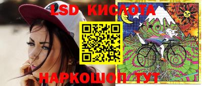 индика Волгодонск