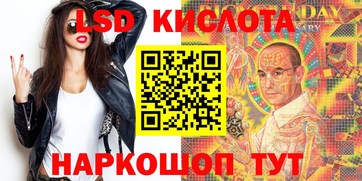 закладка  Новодвинск  Наркотические марки 1500мкг 