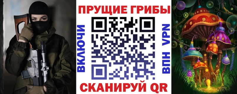что такое наркотик  Новодвинск  Псилоцибиновые грибы мицелий 