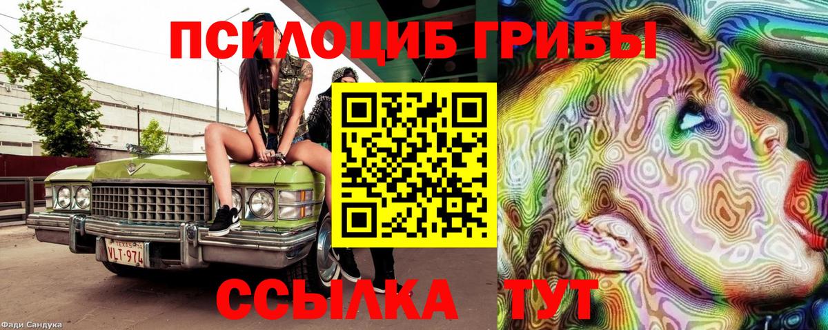 Псилоцибиновые грибы MAGIC MUSHROOMS Новодвинск