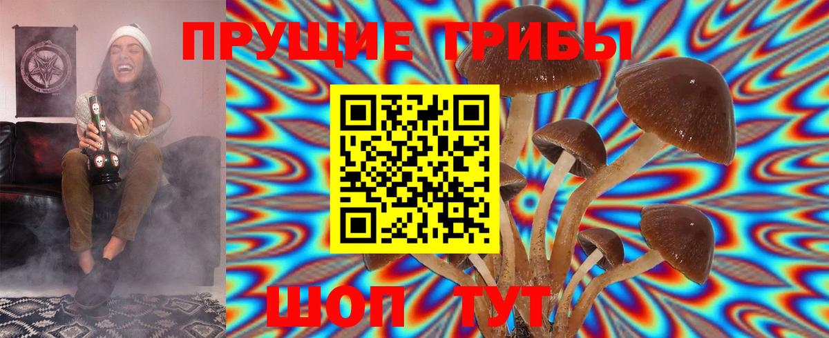 купить наркоту  Новодвинск  Псилоцибиновые грибы мухоморы 