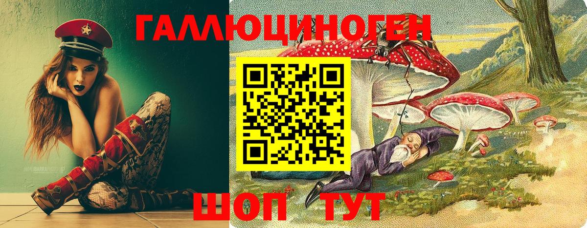 Галлюциногенные грибы Psilocybe Новодвинск