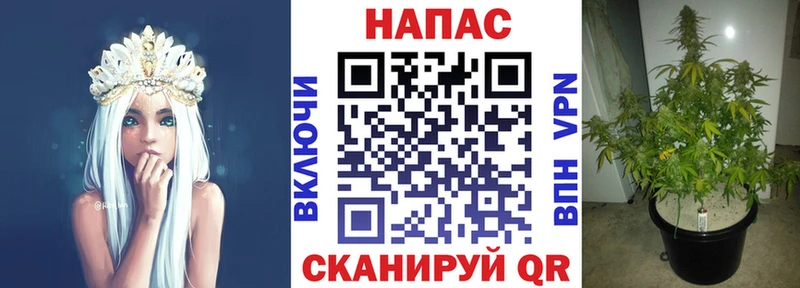 MEGA ссылки цена наркотик Новодвинск Шишки марихуана MAZAR