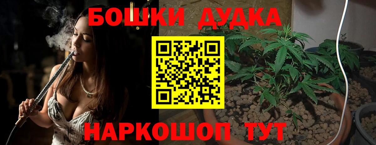 Каннабис планчик  Бошки Шишки LSD WEED  Новодвинск  Марихуана THC 21% 
